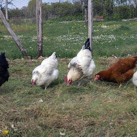 Le Pre De Luceau Bed and Breakfast Blet Εξωτερικό φωτογραφία
